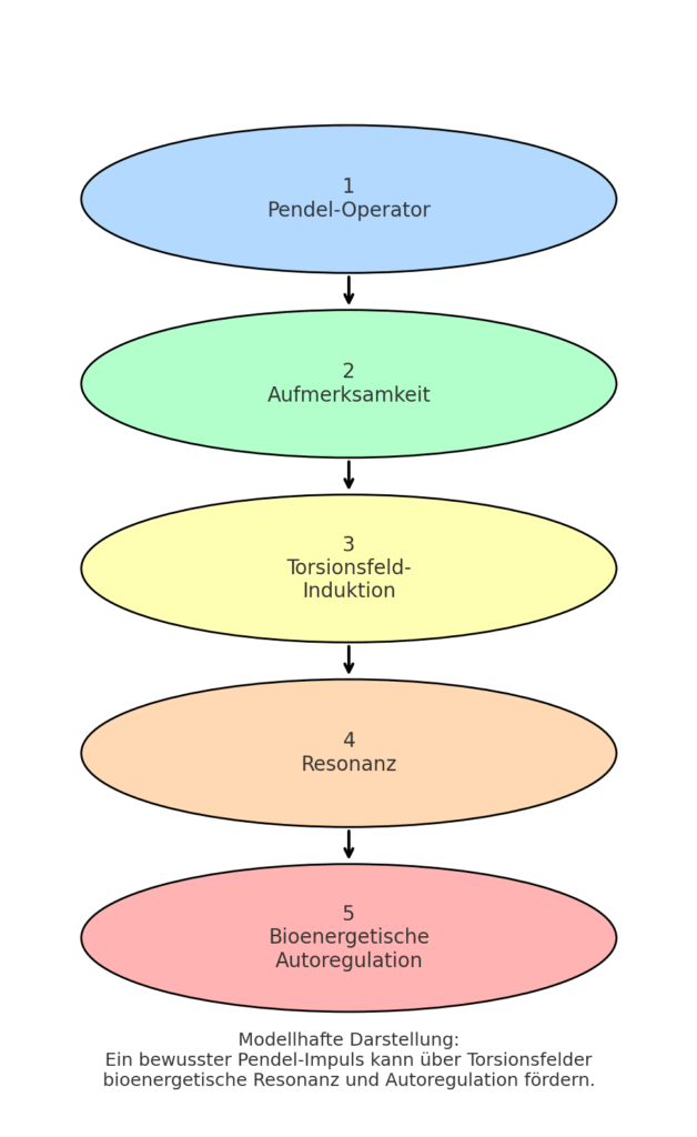Modell der fünf Phasen